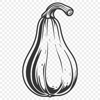 Free Creative Squash Vector Craft File