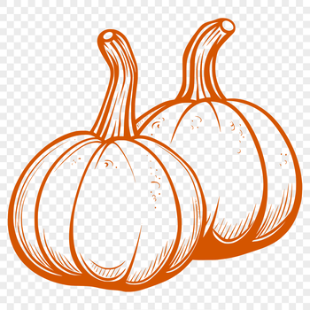 A high-quality illustration of a summer squash vegetable in detail.