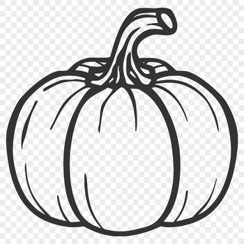 A simple line drawing of a squash, suitable for use in various graphic designs.