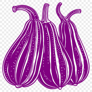 Free Unique Squash Digital Art