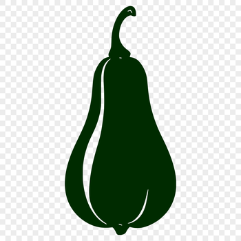 A high-quality illustration of a summer squash, suitable for commercial or personal use in various design projects.