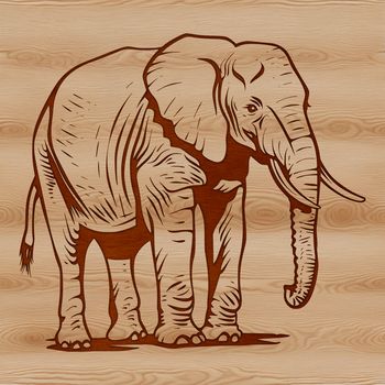 A single standing African elephant in a natural habitat setting.