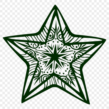 A simple star icon designed as vector art for various digital applications.