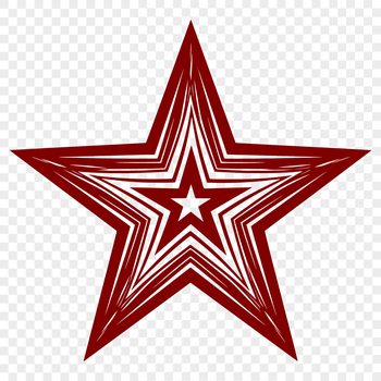 A stylized star icon created as a vector graphic.