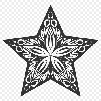 A stylized star icon designed in vector format for easy scaling and editing.