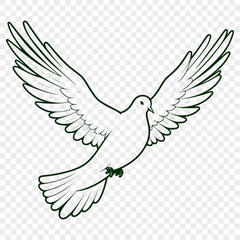 A white dove perched on a branch, symbolizing peace and tranquility in various religious contexts.