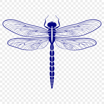 A detailed illustration of a dragonfly in mid-flight, suitable for vector graphics.