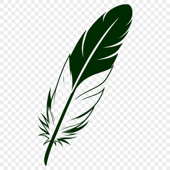 A single feather with detailed lines and curves, suitable for vector design.
