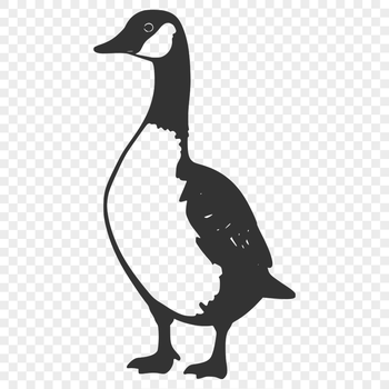 Illustrative silhouette of a goose, suitable for vector graphics design.