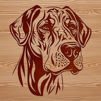 A large breed dog with distinctive physical features, ideal for vector design projects.