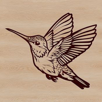 Illustration of a hummingbird in flight, a small bird with a long beak and iridescent feathers.
