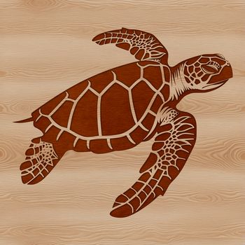 A detailed drawing of a sea creature commonly found in seaside waters.