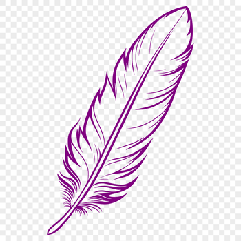 A single white bird feather with smooth edges and a flat shape, ideal for graphic design.