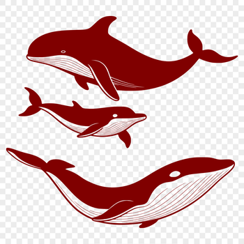 An illustrative SVG vector of a whale for commercial or personal use.