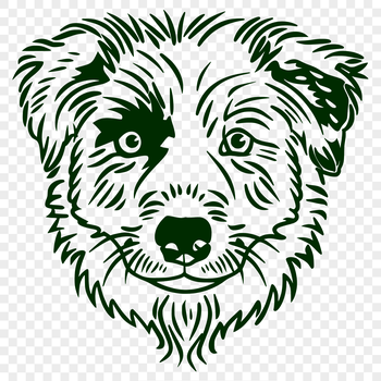 A breed-standard illustration of an Australian Shepherd dog, ideal for designers and crafters.