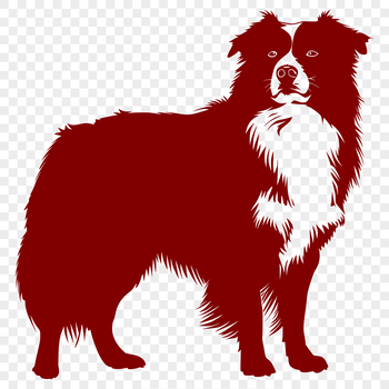 A full-body illustration of a standing Australian Shepherd dog breed.
