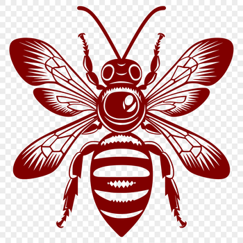 A detailed illustration of a bee from head to thorax, showcasing its body structure in clear lines.