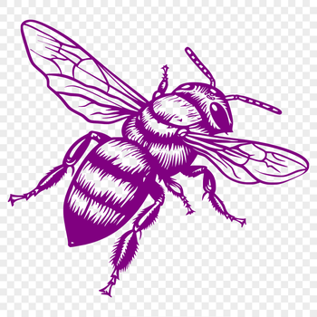 A detailed illustration of a bee in full body view, suitable for gardening or vector design projects.