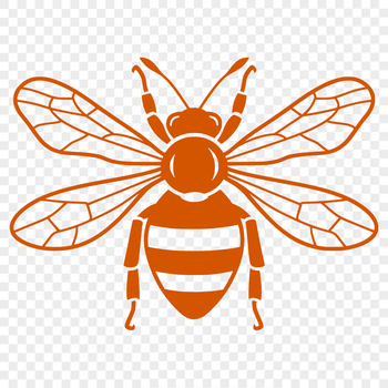 A detailed illustration of a bee in full body view, suitable for vector art projects and designs.