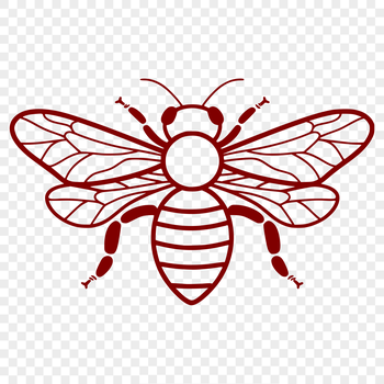 An illustration of a full-body bee with detailed features, suitable for gardening and vector design projects.