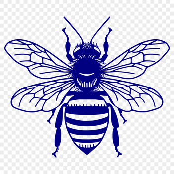 A detailed illustration of a bee in full body view, ideal for gardening or crafting projects.
