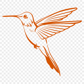 A detailed illustration of a hummingbird in mid-flight, showcasing its full body and intricate features.