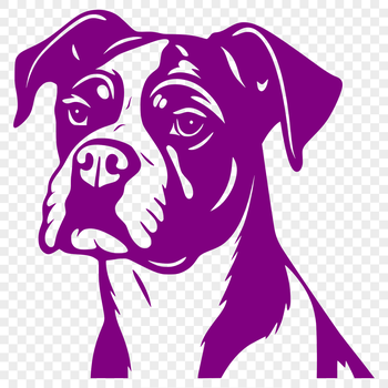A high-quality digital image of a Boxer dog's head.