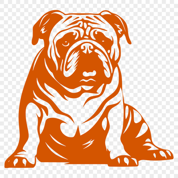 A full-body illustration of a sitting bulldog, suitable for clip art and vector design projects.