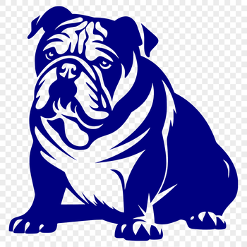 A full-body illustration of a sitting bulldog dog breed, suitable for vector art design.