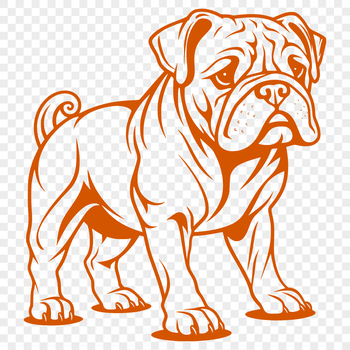 A standing bulldog with a muscular build and wrinkled skin, depicted in a simple vector illustration style.