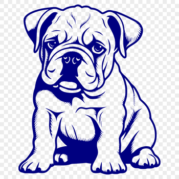 A close-up illustration of a bulldog sitting on its haunches.