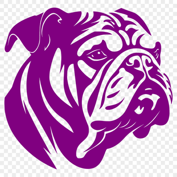 A close-up of a bulldog's head, suitable for clip art and vector design.