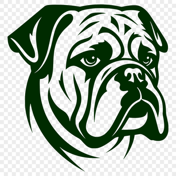 A stylized illustration of a Bulldog's head, created as a vector graphic for digital design and print.