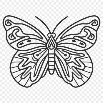 Illustrative image of a colorful butterfly with intricate details, suitable for gardening and craft projects.