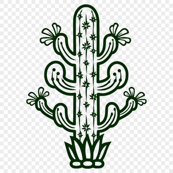 A single green succulent cactus plant with sharp spines growing in the desert.