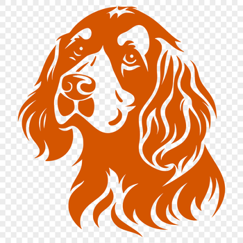 A Cocker Spaniel's face with floppy ears and a sweet expression.