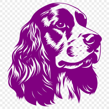 A high-quality digital illustration of a Cocker Spaniel's head.