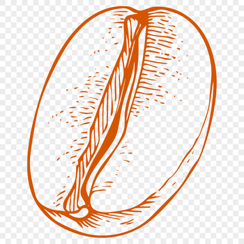 A high-quality vector illustration of a coffee bean in simple design.