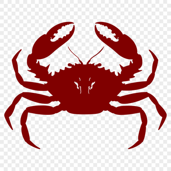 A detailed illustration of a crab's full body in vector format.