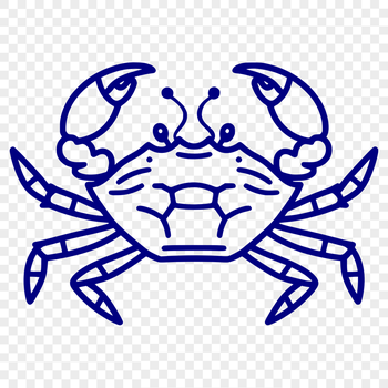 Beautiful Crab Digital Drawing