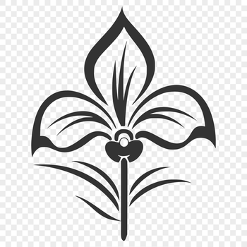 A detailed illustration of an orchid plant in bloom, ideal for vector art designs.