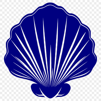 SVG illustration of a realistic seashell, ideal for seaside and vacation-themed designs.