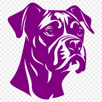 A high-quality vector illustration of a Boxer's head, suitable for various design applications.