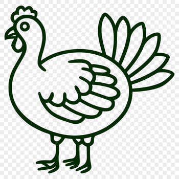 A simple line drawing of a turkey in its entirety, illustrating the animal's distinctive features.