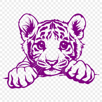 A close-up vector illustration of a tiger's head, showing its distinctive facial features.