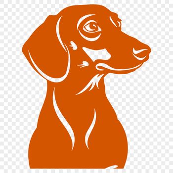 A detailed illustration of a Dachshund's head from various angles, suitable for design projects.