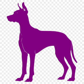 A detailed vector illustration of a Doberman Pinscher standing in full body pose, suitable for various design applications.