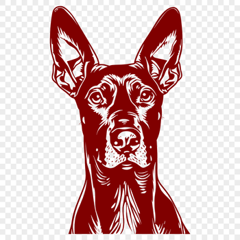 Stunning Doberman Pinscher Digital Artwork