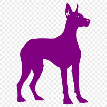 A full-body illustration of a Doberman Pinscher standing upright.