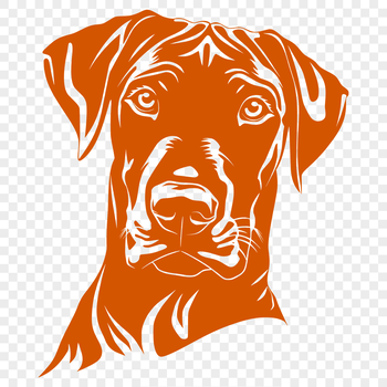 A vector illustration of a Doberman Pinscher's head with detailed features.